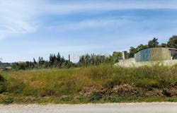 R. Principal da Murta 105, 3770-102 Oliveira do Bairro, Portugal, Oliveira do Bairro, Aveiro District 3770-102