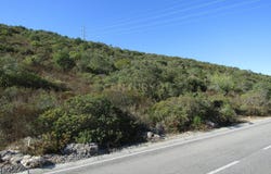 São Brás de Alportel, Algarve