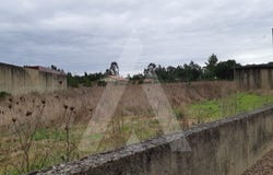 Avelãs de Cima, Aveiro District