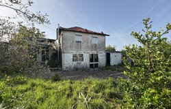 Amarante, Porto District