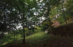 Unnamed Road, Guarda, Guarda District 6270