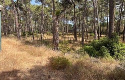 Almada, Setúbal