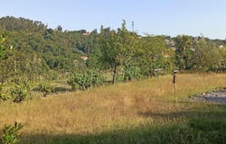 Orgens, Viseu District