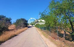 Olhão, Faro