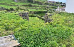 Ilha de São Miguel, Azores