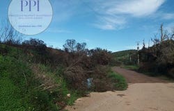 Vila do Bispo, Faro 8650-000
