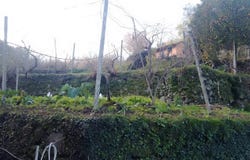 Cinfães, Viseu District