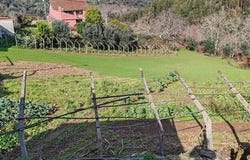Figueiró dos Vinhos, Leiria 3260-035