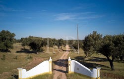 Urra, Portalegre 7300
