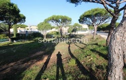 Loule, Faro