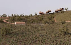 Saboia, Beja 7665