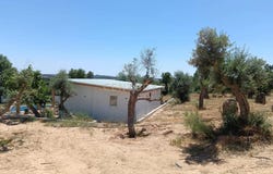Salgueiro do Campo, Castelo Branco District