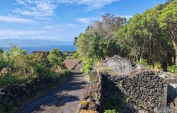 Ilha do Pico, Azores
