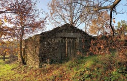 Padrela e Tazem, Vila Real District