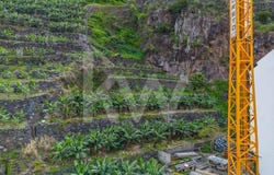 Ribeira Brava, Madeira