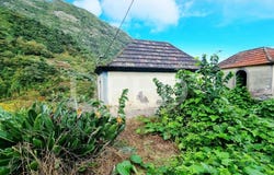Boa Ventura, Madeira 9240