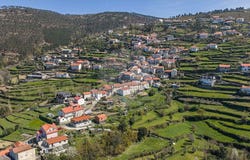 Campanhó e Paradança, Vila Real 4880