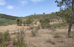 Perais, Castelo Branco District
