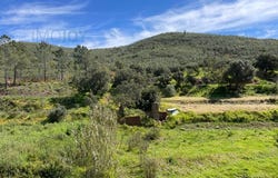 Mexilhoeira Grande, Algarve 8500