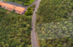 Ilha da Madeira, Madeira