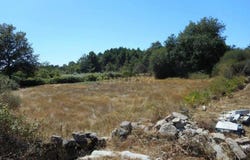 Mexilhoeira Grande, Algarve