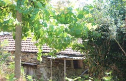 Castelo de Paiva, Aveiro District