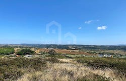 Ericeira, Lisbon 2655