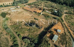 Saboia, Beja 7665