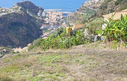 Ilha da Madeira, Madeira