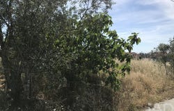 Leiria, Leiria District