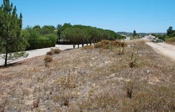 Emp. Almaverde, Vila do Bispo, Faro