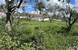 Beja, Beja District