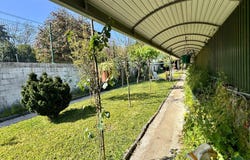 Braga, Braga