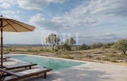 Comporta, Setúbal 7580