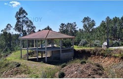 Sertã, Castelo Branco 6100-656