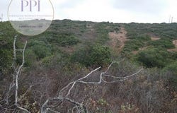 Vila do Bispo, Faro 8650-000