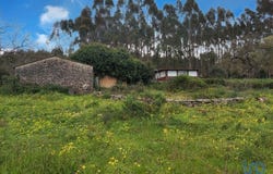 Leiria, Leiria District