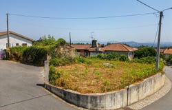Oliveira, Braga
