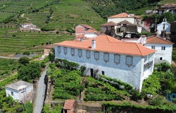 Vila Real, Vila Real District