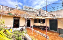 Canhas, Madeira 9360