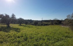 Santarém, Santarém District