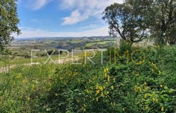 5 R. do Oitão, Leiria, Leiria District 2510