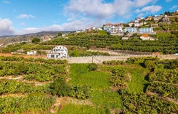 Ribeira Brava, Madeira 9350