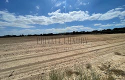Palmela, Setúbal 2950