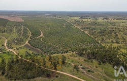 Bemposta, Santarém 2205