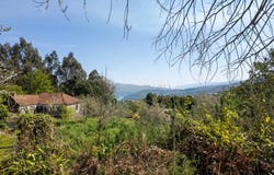 Santiago de Piães, Viseu District