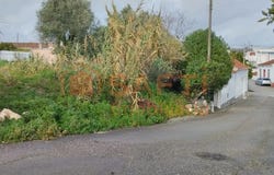 Achete, Santarém District