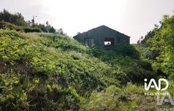 Leiria, Leiria District