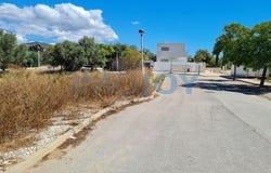 Faro, Faro