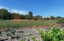 Canas de Senhorim, Viseu District